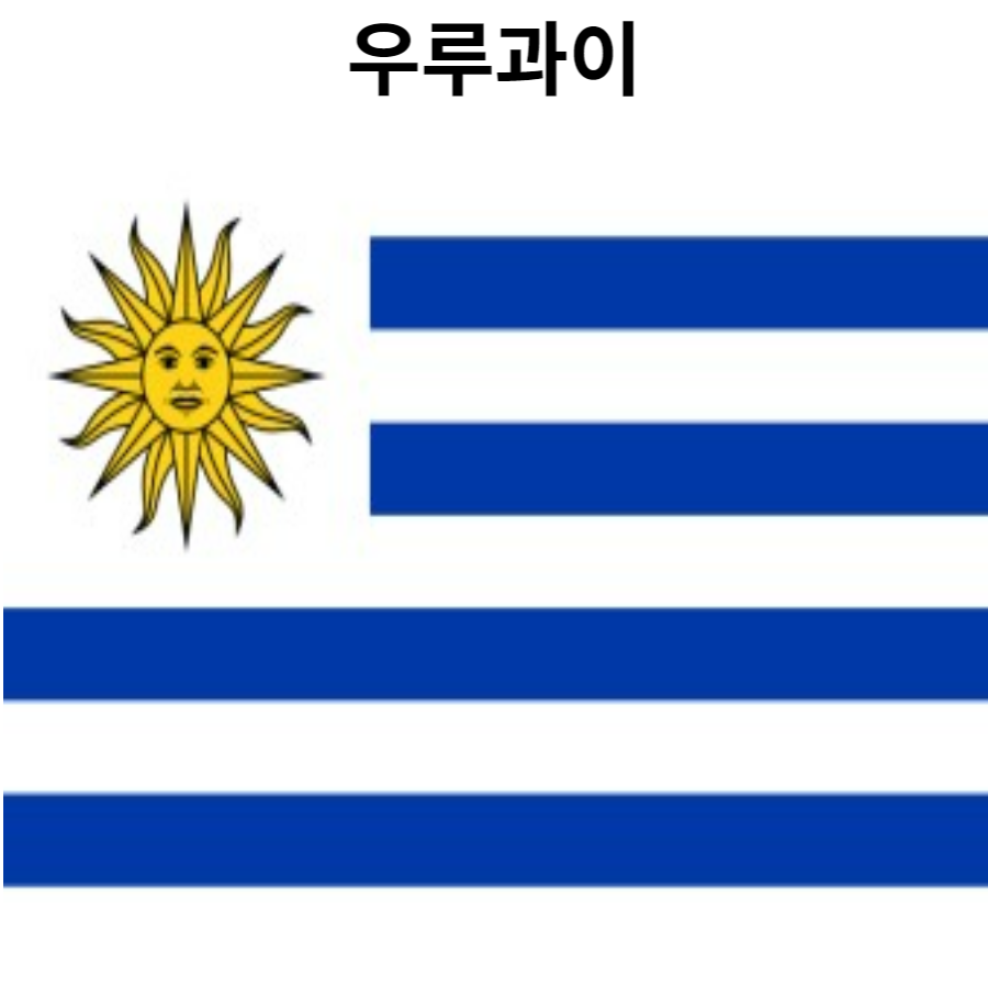 월드컵 조편성