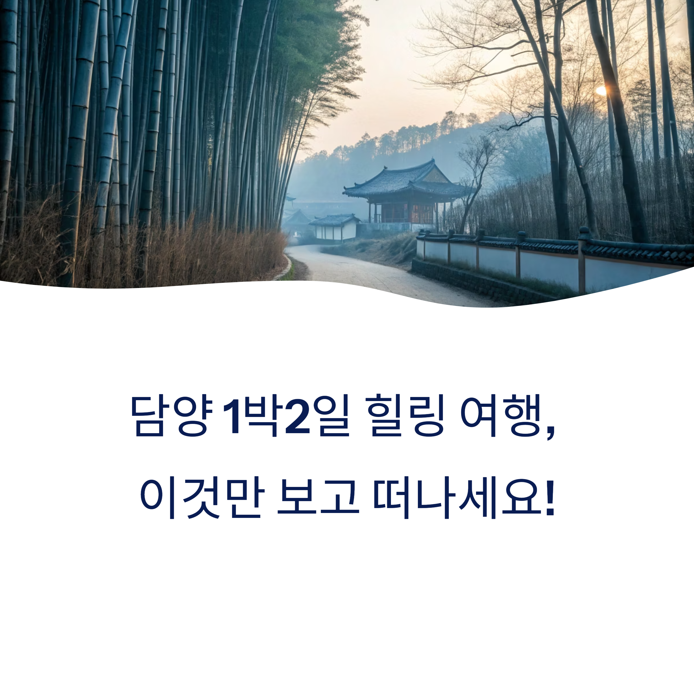 담양 1박2일 여행 코스와 맛집까지 한 번에!