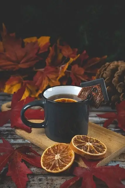 충북 가을여행 추천