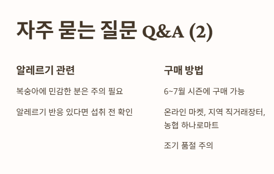 자주 묻는 질문 Q&amp;A 2