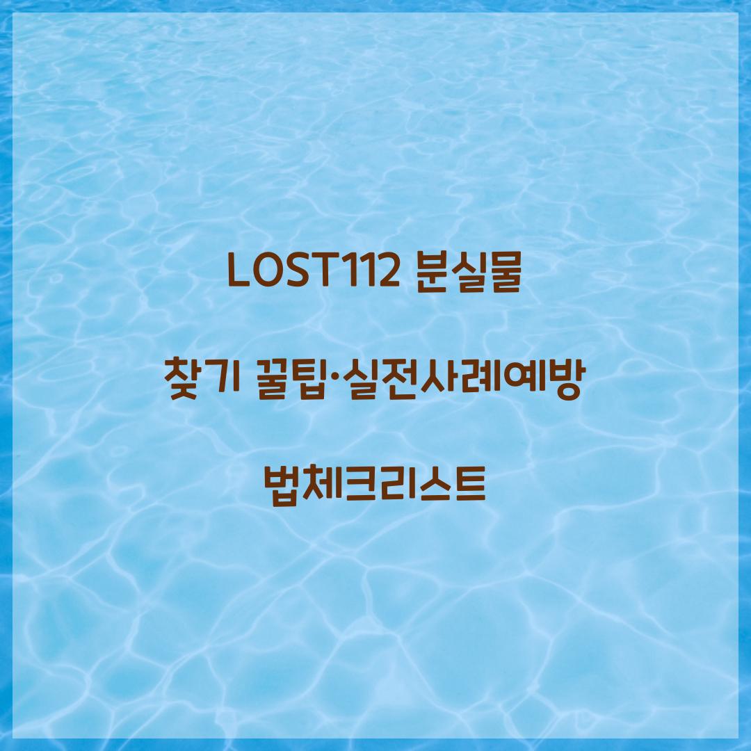 LOST112 분실물 찾기