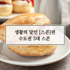 생활의 달인 스콘 맛집