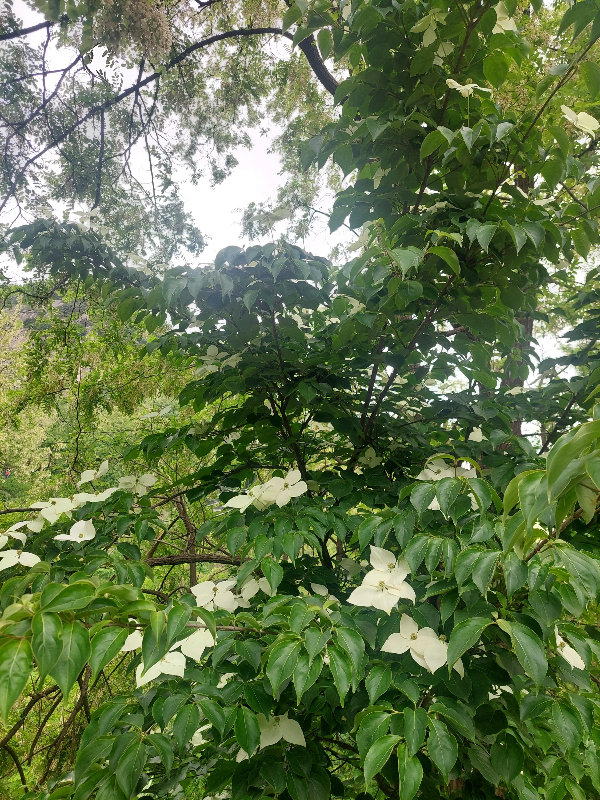 안산