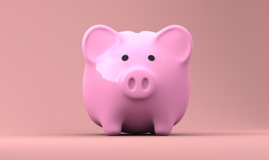 카카오뱅크 비상금대출