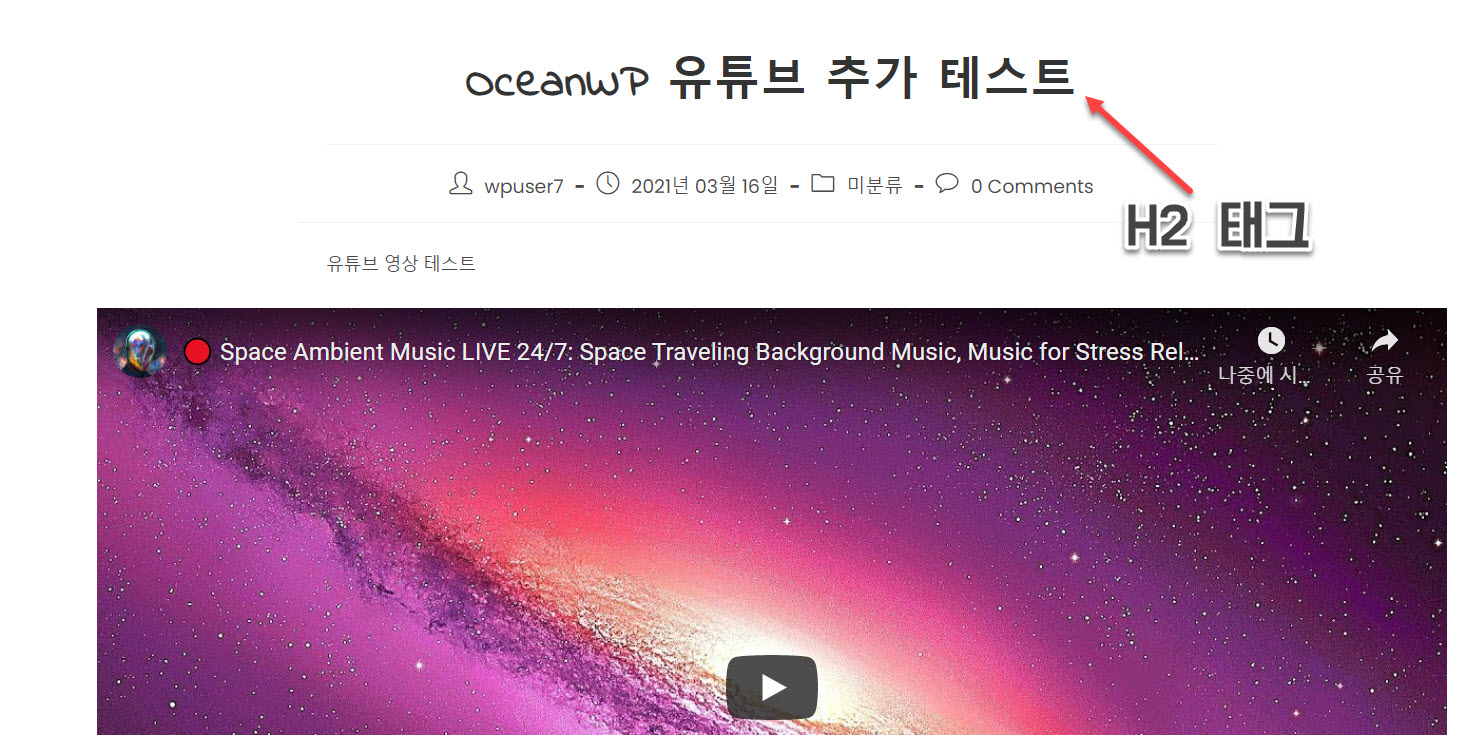 워드프레스 OceanWP 테마 헤딩 태그 변경하기(H2을 H1으로)