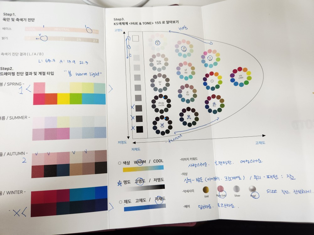 월라이트컬러진단