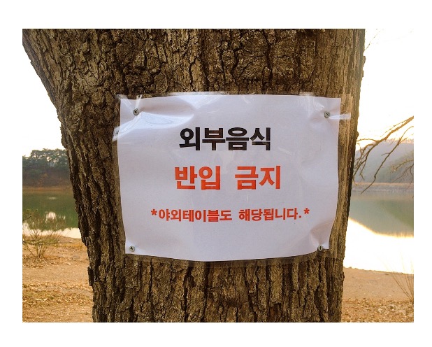 안성-노주현카페