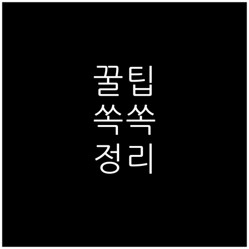 과태료 피하는 법! 종로구 봉익동 쓰..