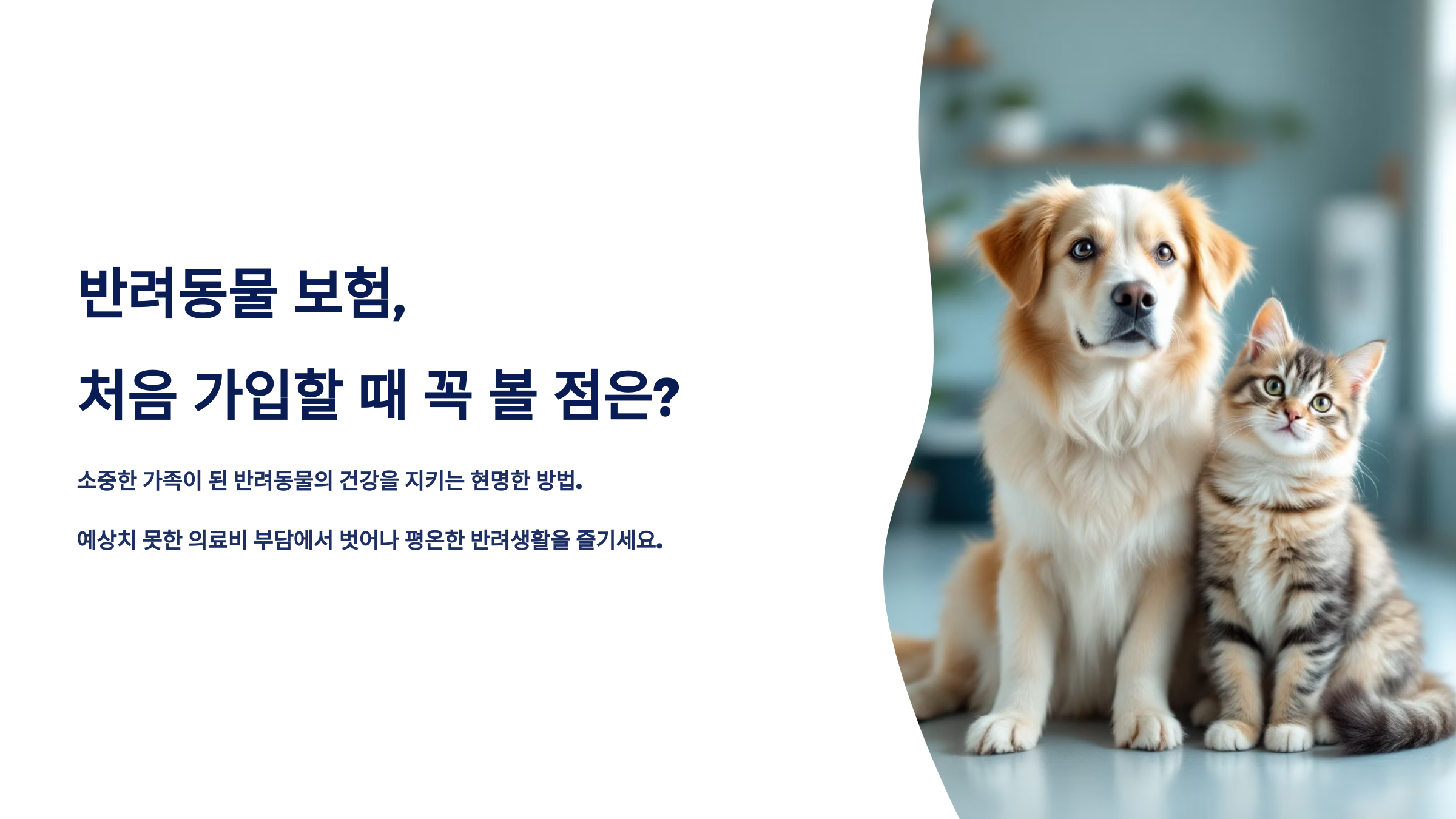 반려동물 보험, 처음 가입할 때 꼭 볼 점은?