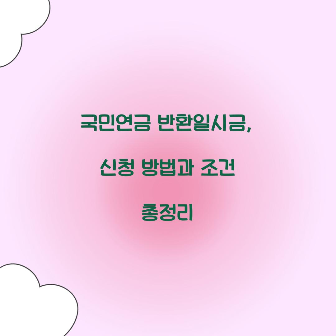 국민연금 반환일시금