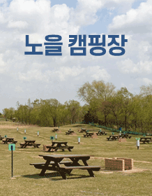 한강 난지도 노을캠핑장 반려견과 함께하는 캠핑 피크닉