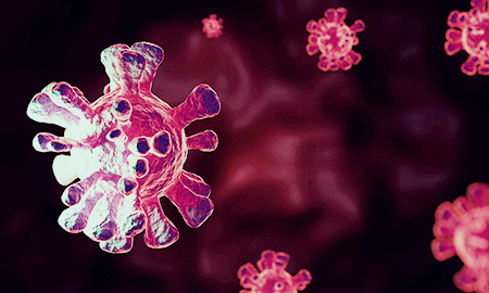 프로폴리스 효능