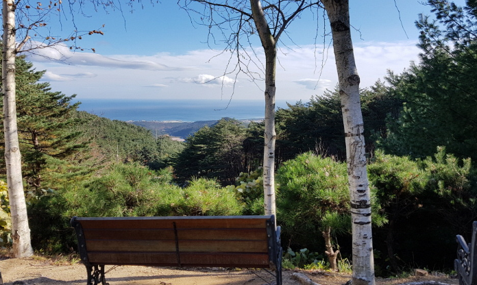 국립자연휴양림