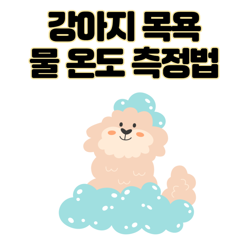 강아지 목욕 물 온도, 화상 위험 없는 황금 온도 측정법