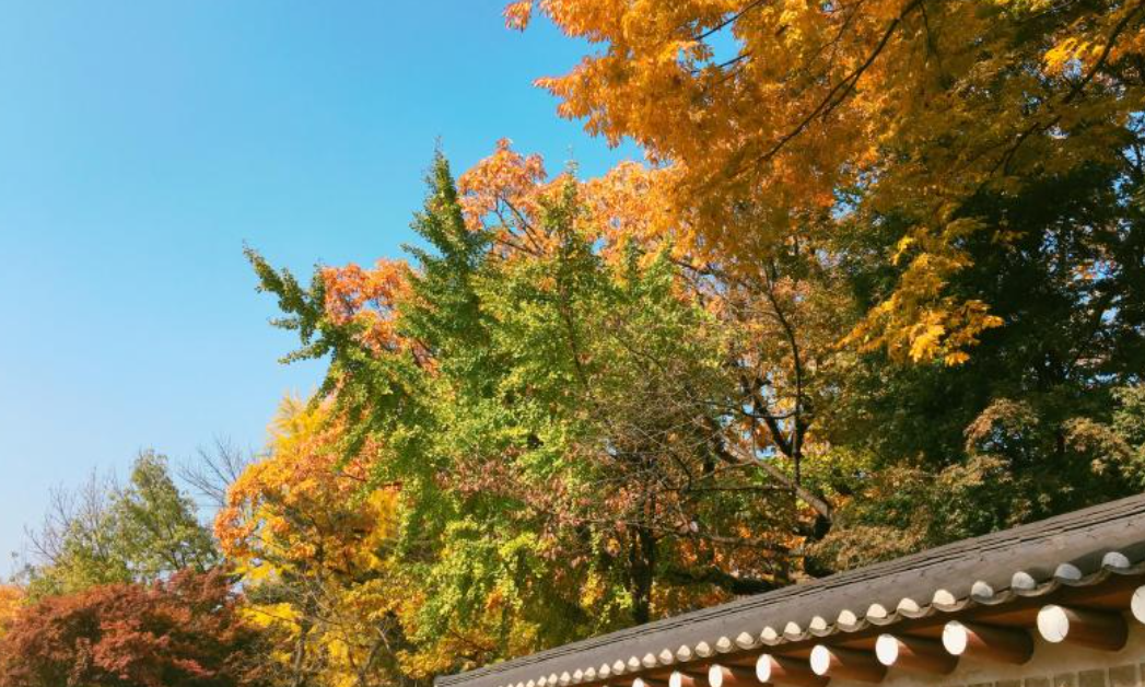 대구