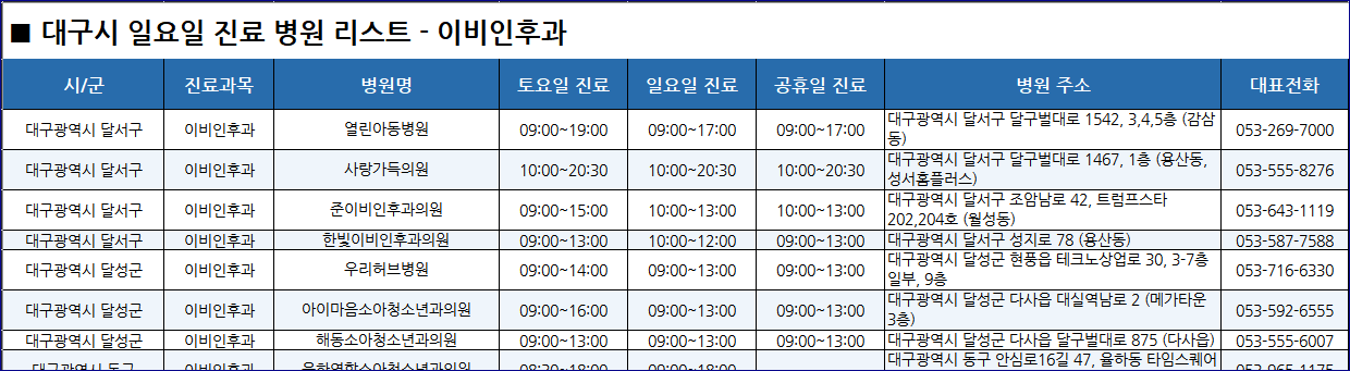 대구시-일요일-병원리스트-예시