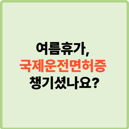 2025년 국제운전면허증 준비법|영문면허로 가능한 나라 따로 있다