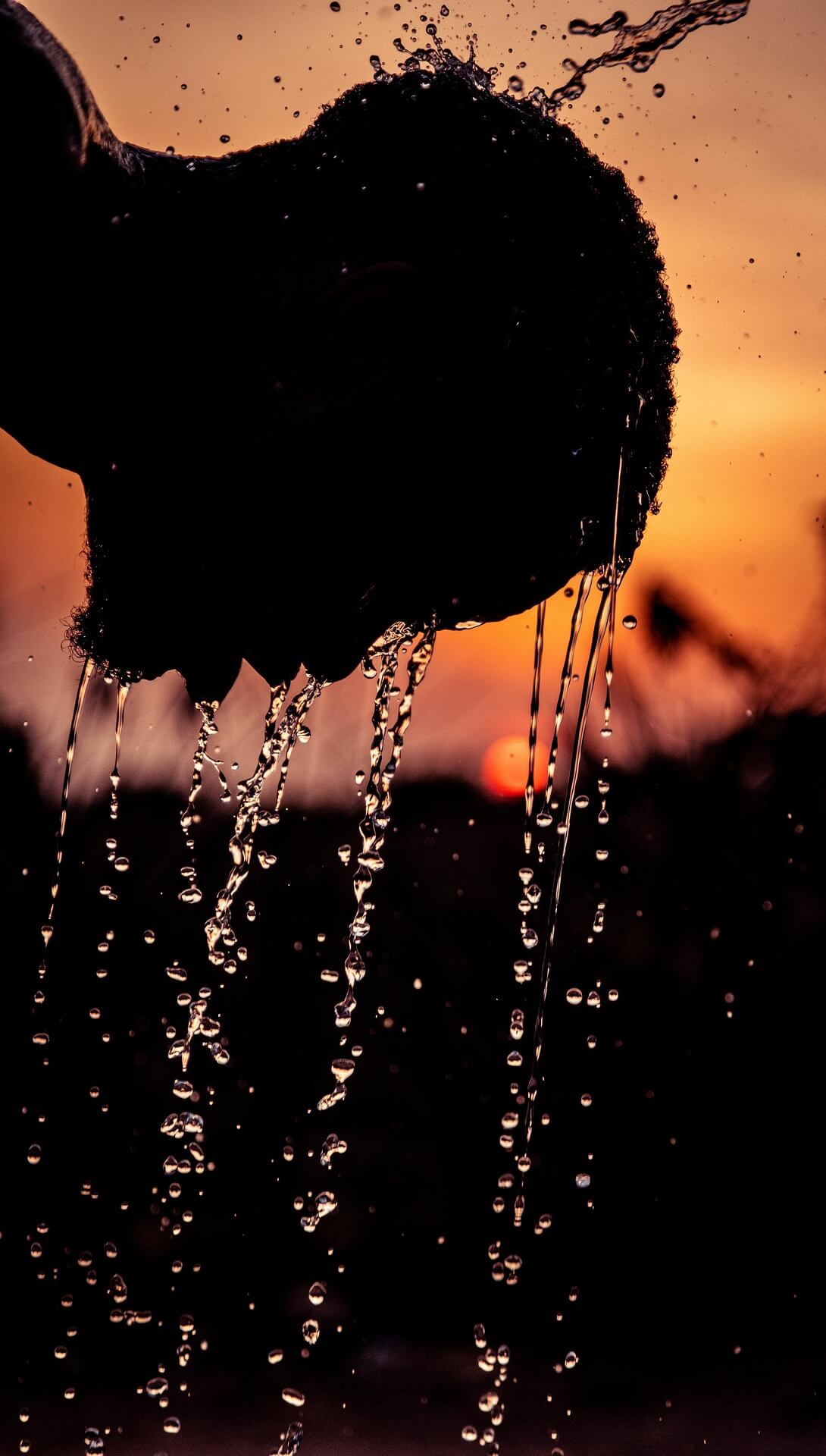 러닝 후에 찬물로 샤워 해야 하는 이유