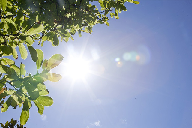 햇볕