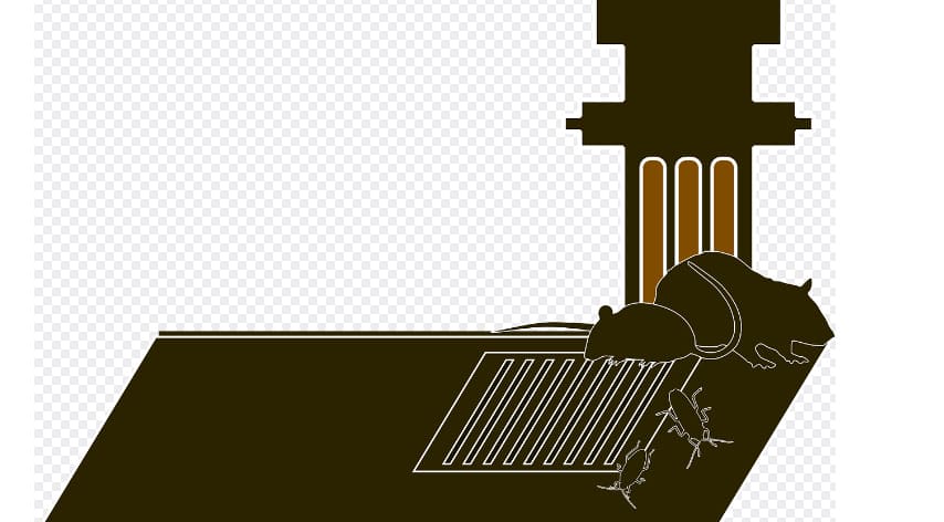 주방에 쥐와 바퀴벌레가 다니고 있는 모습