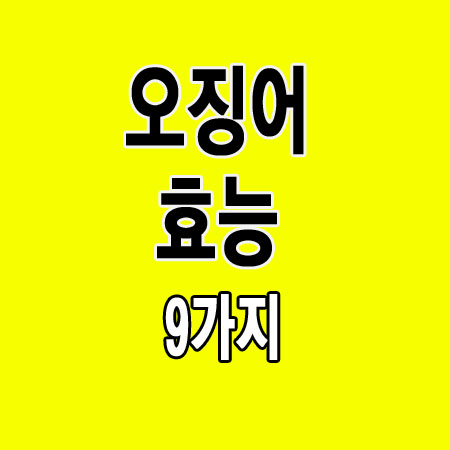 요즘 서해 오징어가 많이 잡힌다고함 그래서 오징어 효능 알아볼게요