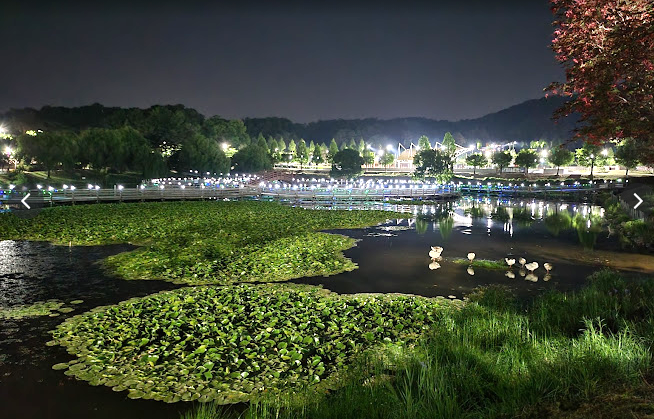 안성천 사진