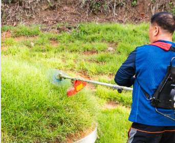 명절 벌초 방법