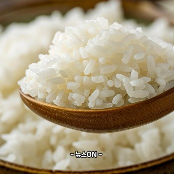 수능 아침에 좋은 음식