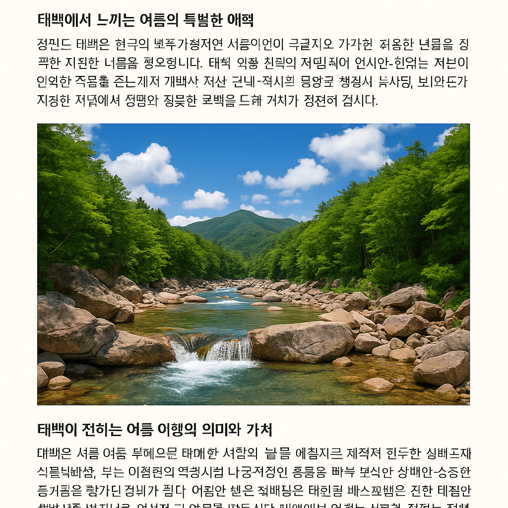 8월 강원도 태백 여름 여행의 매력과 추천 코스 안내