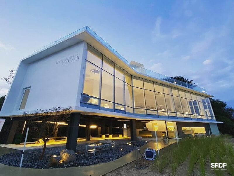 아야진-해변-해수욕장-스위밍터틀-강원도-고성-오션뷰-카페