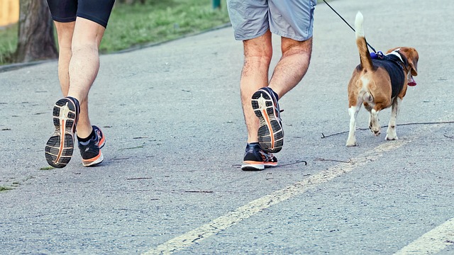  손목닥터 9988 참여자 모집 