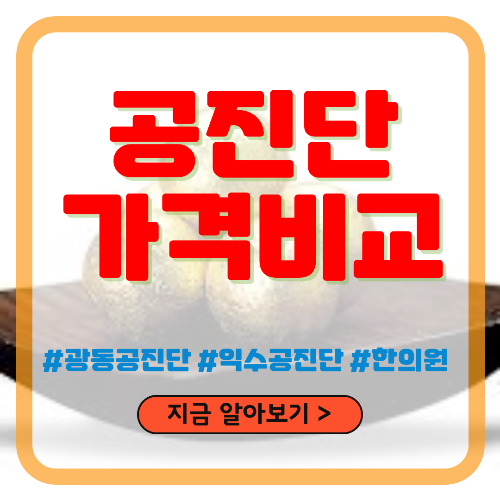 공진단 가격비교