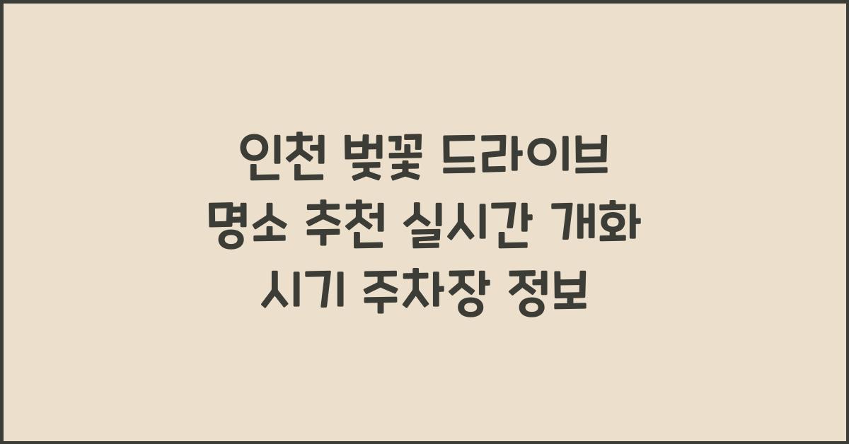 인천 벚꽃 드라이브