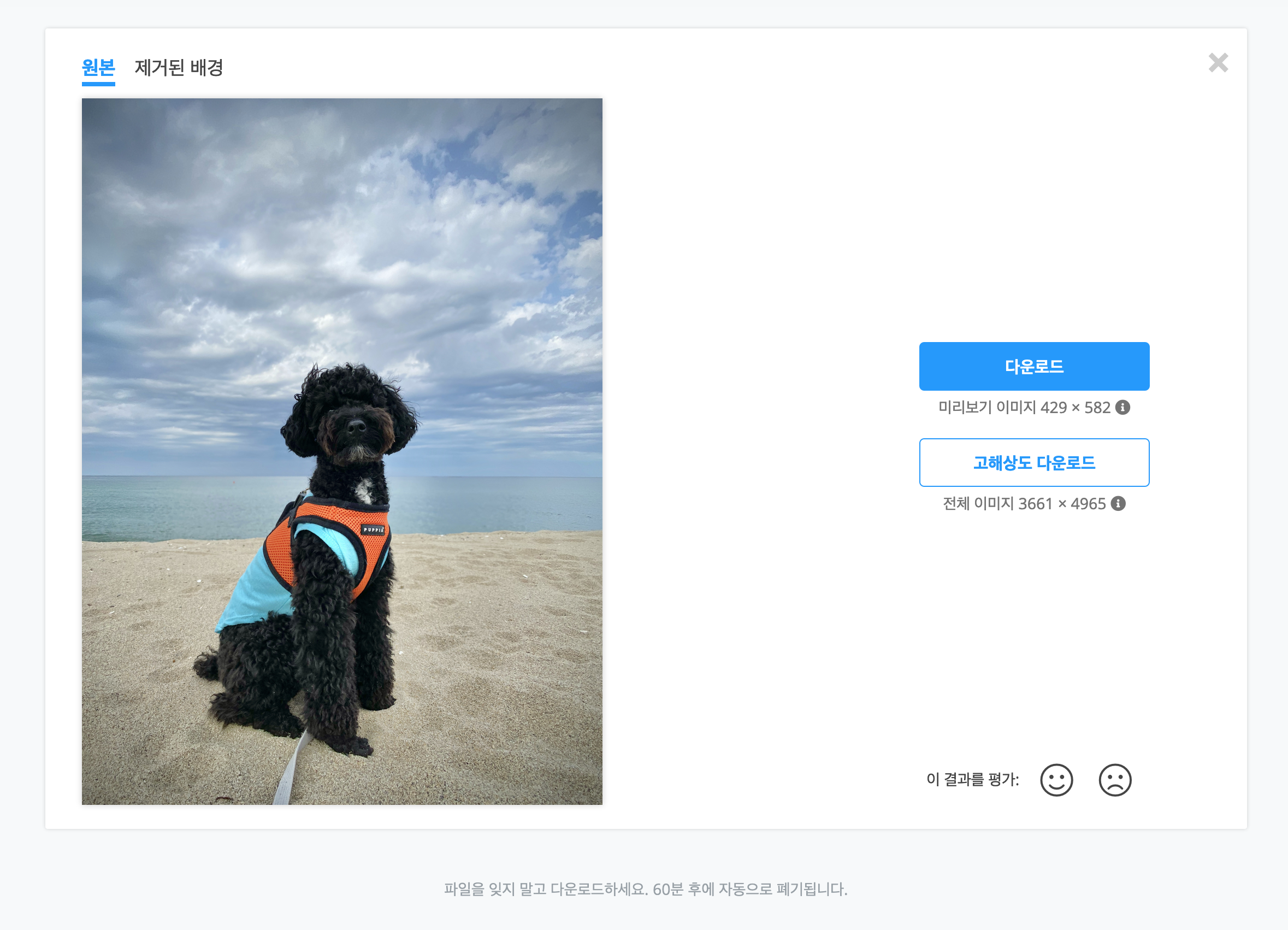 remove.bg 원본 이미지 업로드