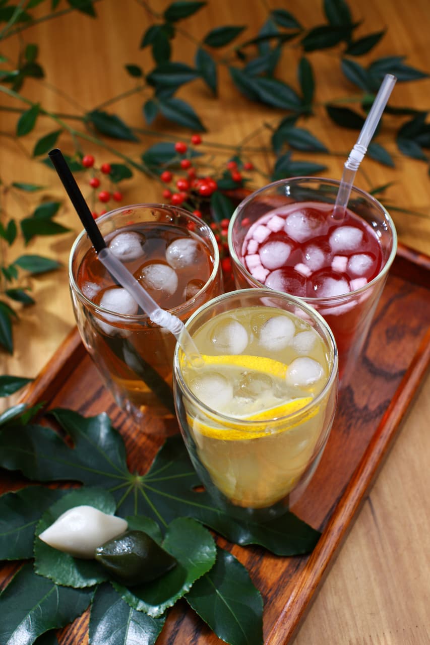 콤부차(Kombucha)의 건강 효과 및 어린이에게 적합한 지에 대한 분석