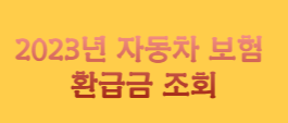 2023년 자동차 보험 환급금 조회