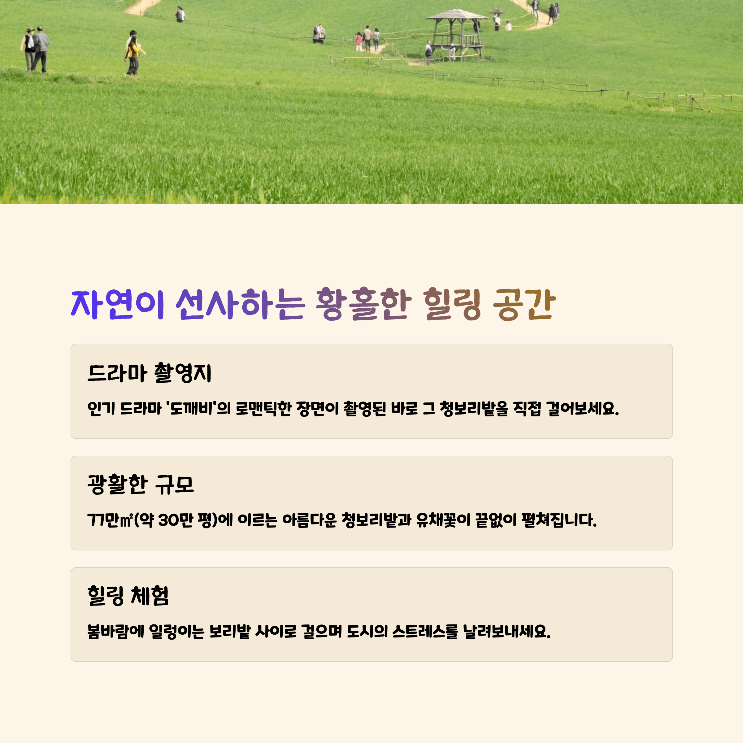 고창 청보리밭 드라마 도깨비 촬영장