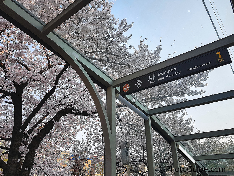 불광천