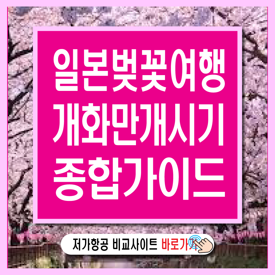 2025 일본 도쿄 오사카 벚꽃여행 종합 가이드-썸네일