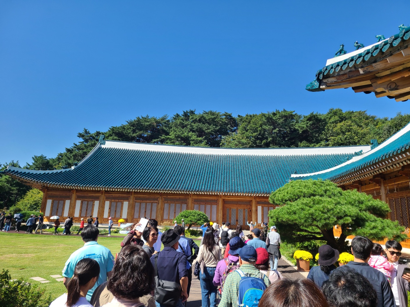 청와대 관람 하기