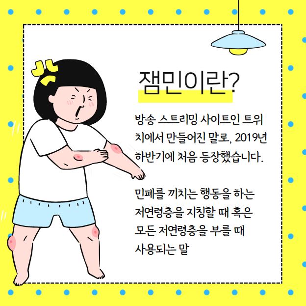 잼민이 뜻