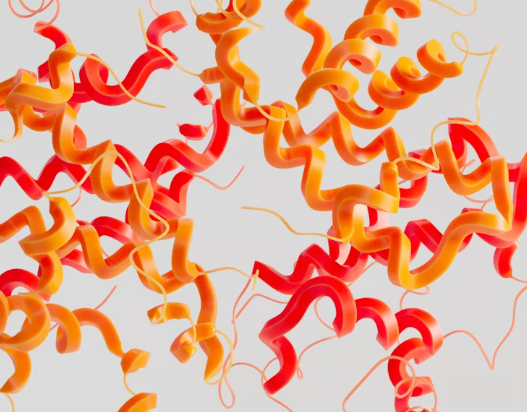 철분 효능 : 산소 운반