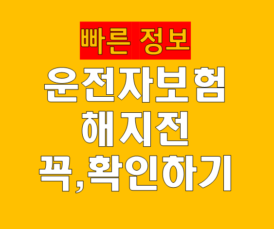 기존 운전자보험 점검 방법 실전 가이드｜해지 전에 반드시 확인해야 할 체크포인트