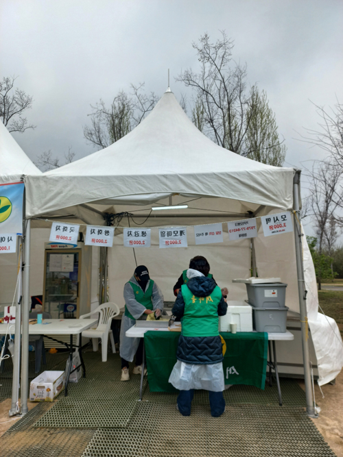 영등포 여의도 봄꽃축제