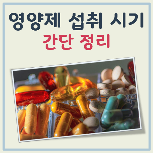 영양제 추천 섭취 시기 정리(식전 식후, 아침 점심 저녁)