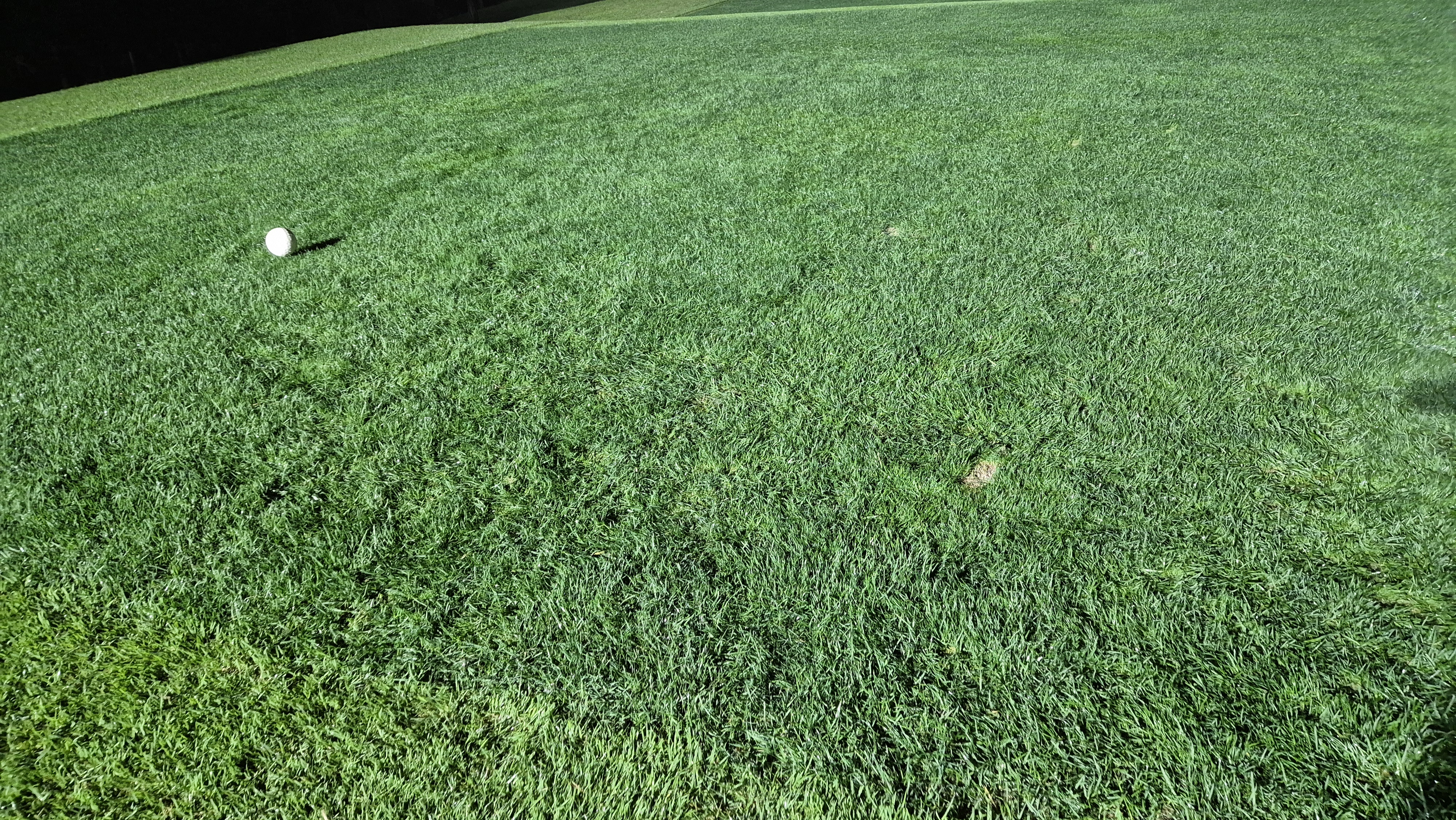 블루원용인cc 티잉구역상태