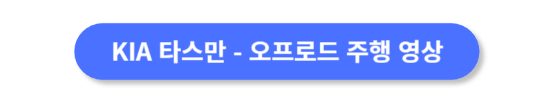 버튼