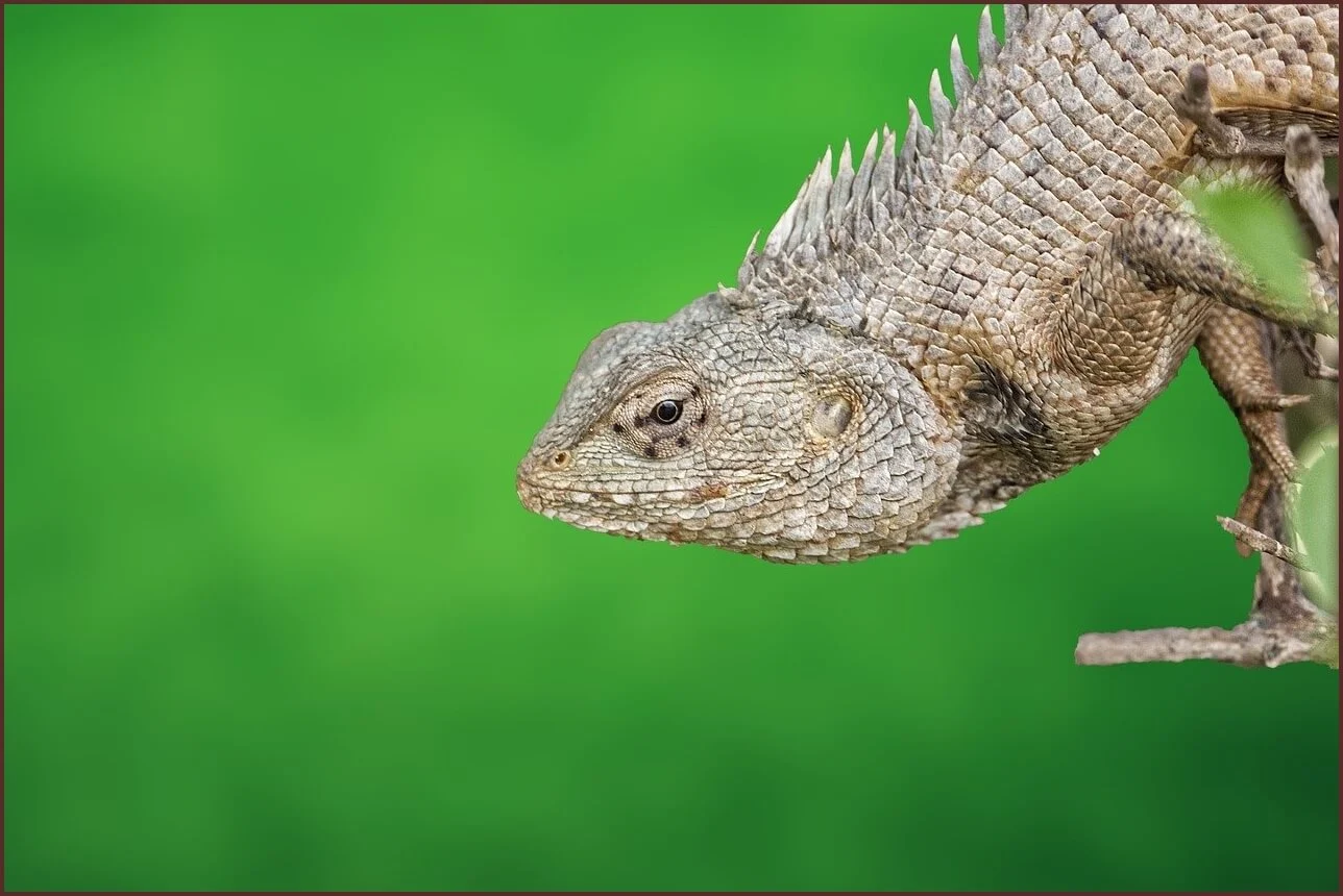 저축은행 정기예금 금리비교