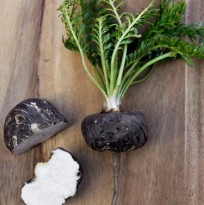 블랙마카 효능 부작용