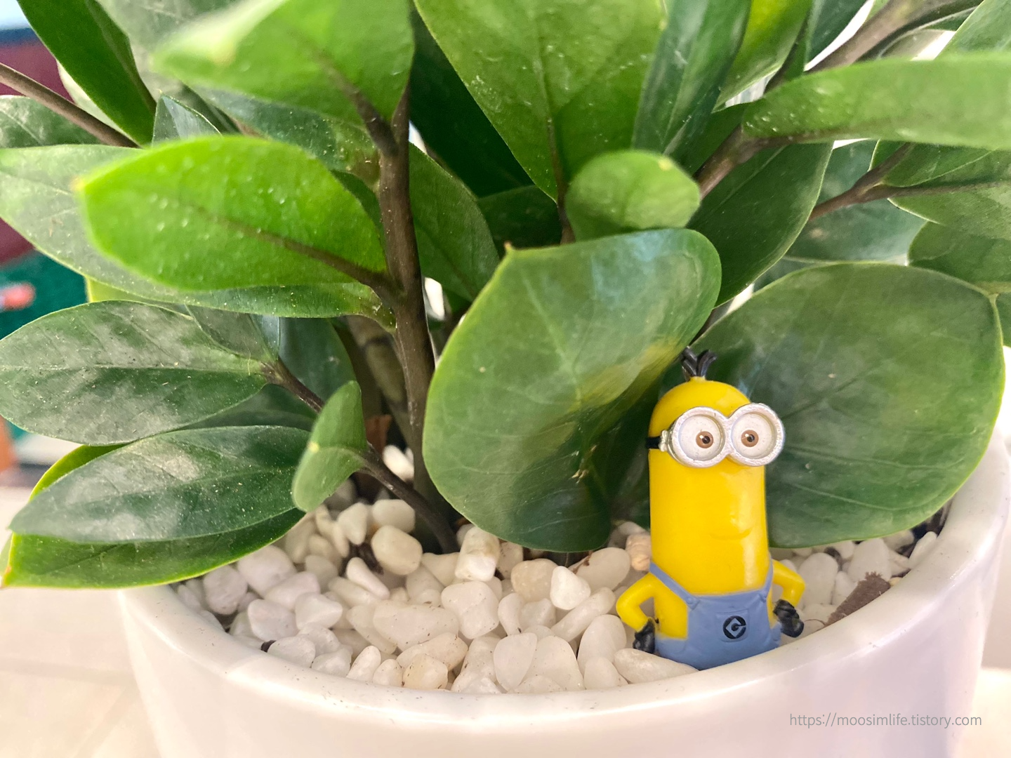 세종-에드가-퓨전양식 레스토랑